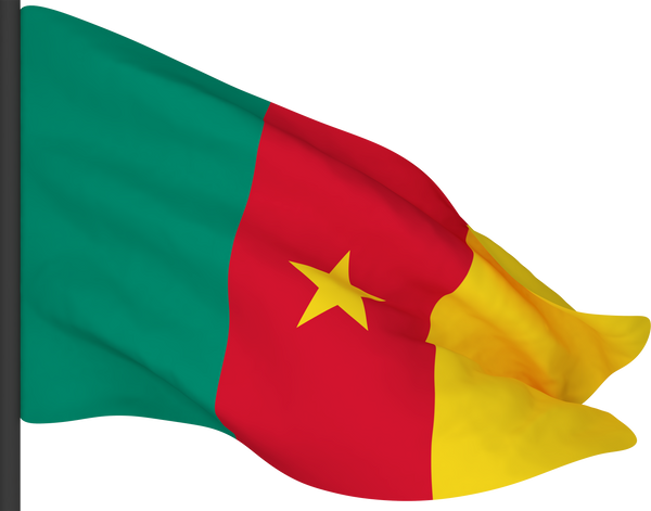 Flag of Cameroon